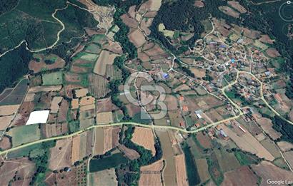 Kazdağları’nın Eteklerinde, Termal Turizm Bölgesinde Bungalovlu 3448 m² SATILIK Tarla!