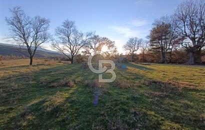 MUSELAND-ÇANAKKALE BAYRAMİÇ TONGURLU DA SATILIK İMARLI ARSA