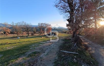 MUSELAND-ÇANAKKALE BAYRAMİÇ TONGURLU DA SATILIK İMARLI ARSA