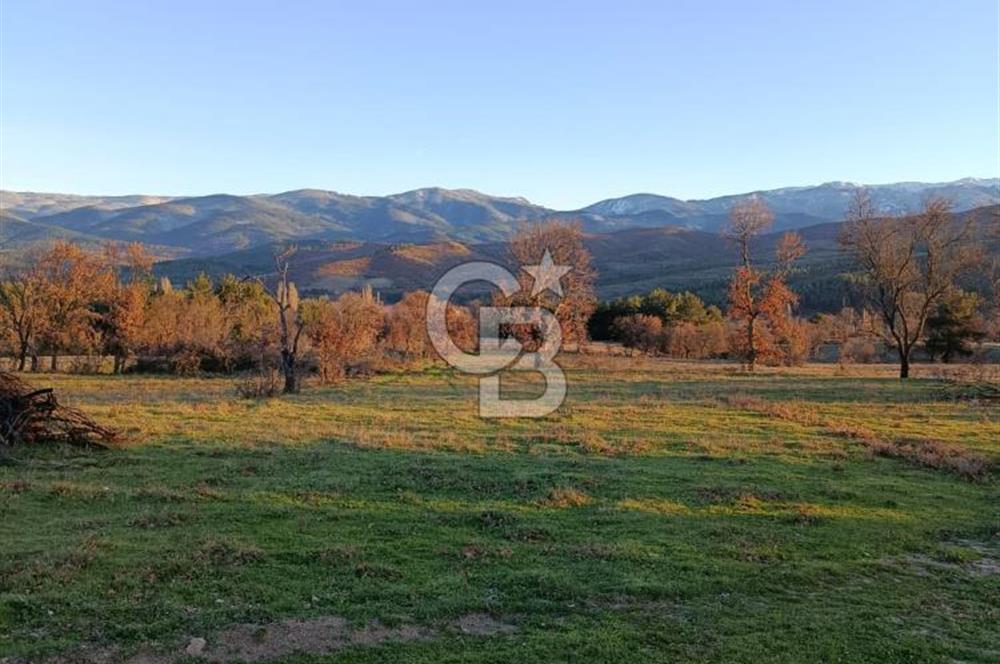 MUSELAND-ÇANAKKALE BAYRAMİÇ TONGURLU DA SATILIK İMARLI ARSA