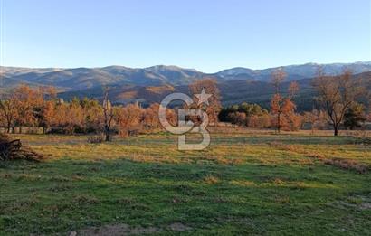MUSELAND-ÇANAKKALE BAYRAMİÇ TONGURLU DA SATILIK İMARLI ARSA