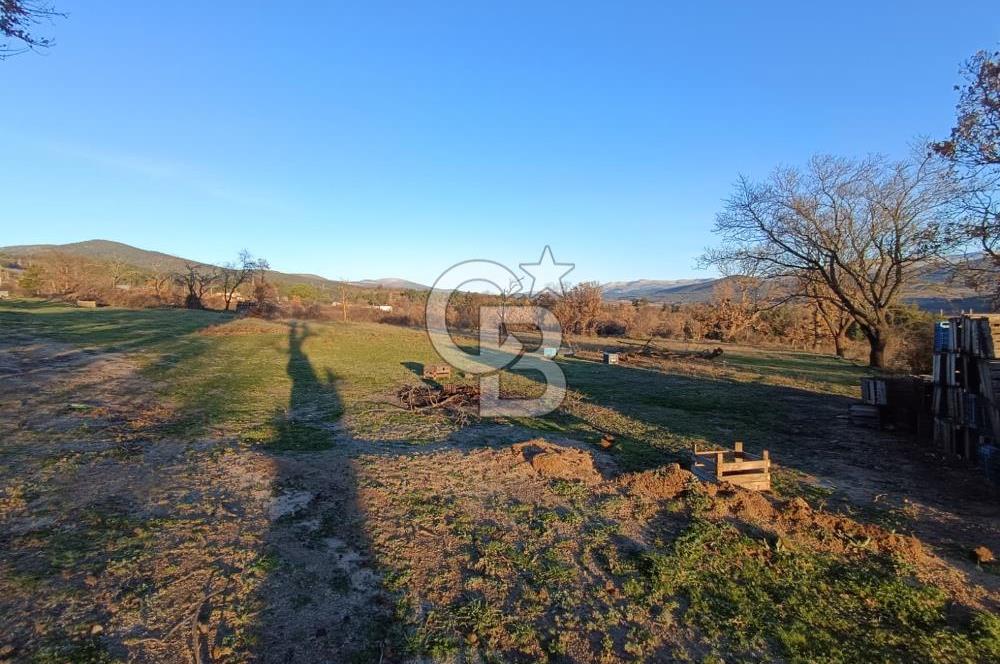 MUSELAND-ÇANAKKALE BAYRAMİÇ TONGURLU DA SATILIK İMARLI ARSA