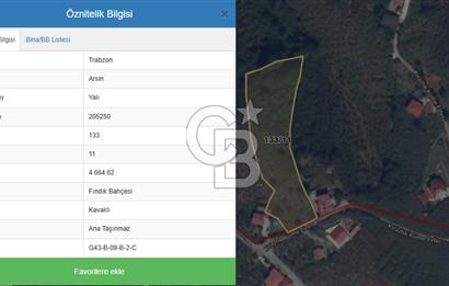 TRABZON ARSİN'DE SATILIK ARSA