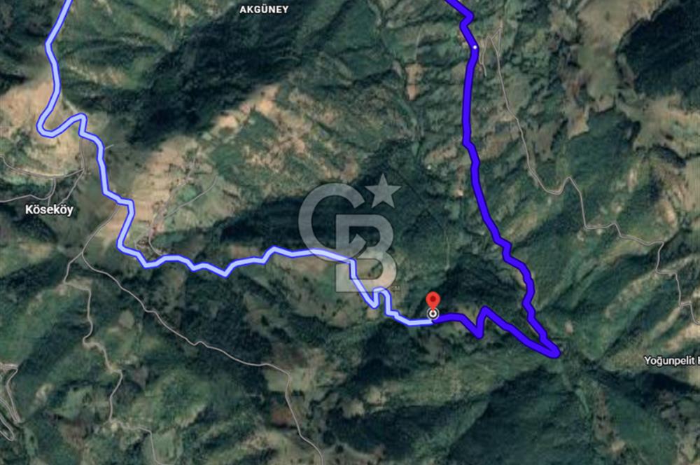 SAMSUN/ALAÇAM-KÖSEKÖY'DE*5.738 m2*MÜSTAKİL TAPULU SATILIK TARLA