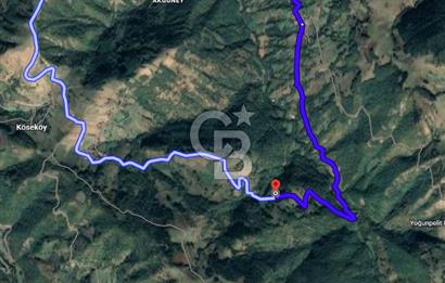 SAMSUN/ALAÇAM-KÖSEKÖY'DE*5.738 m2*MÜSTAKİL TAPULU SATILIK TARLA