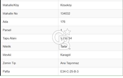 SAMSUN/ALAÇAM-KÖSEKÖY'DE*5.738 m2*MÜSTAKİL TAPULU SATILIK TARLA