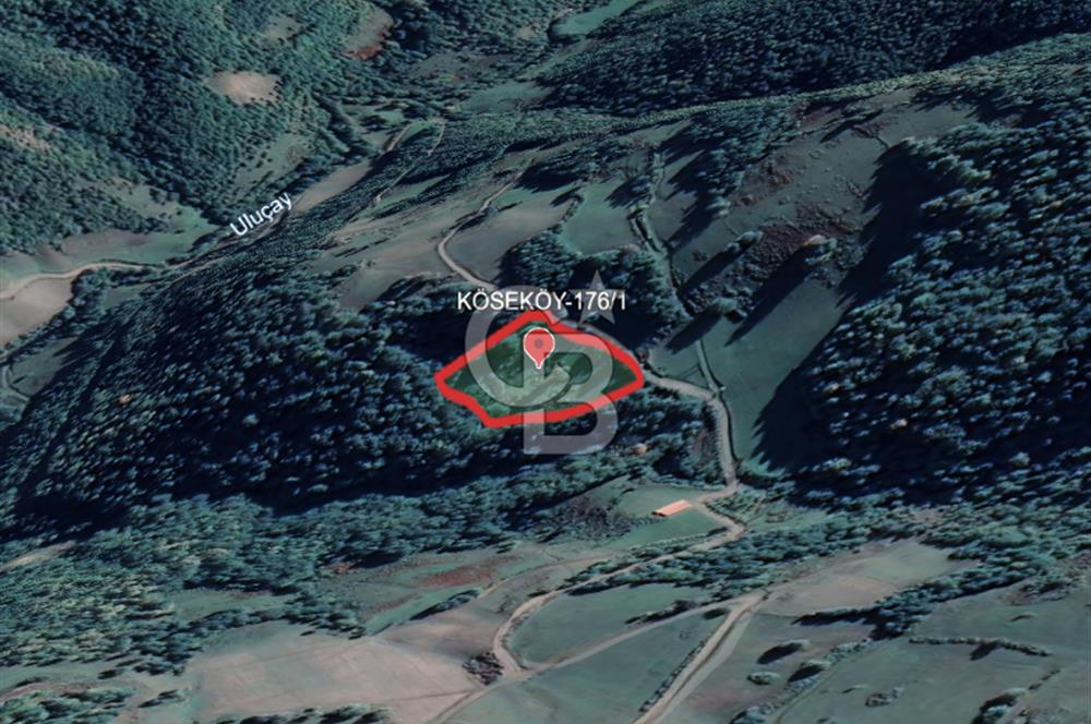 SAMSUN/ALAÇAM-KÖSEKÖY'DE*5.738 m2*MÜSTAKİL TAPULU SATILIK TARLA