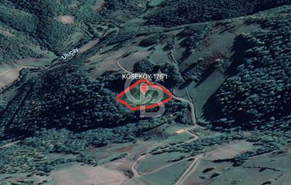 SAMSUN/ALAÇAM-KÖSEKÖY'DE*5.738 m2*MÜSTAKİL TAPULU SATILIK TARLA