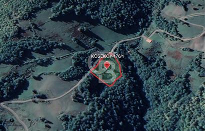 SAMSUN/ALAÇAM-KÖSEKÖY'DE*5.738 m2*MÜSTAKİL TAPULU SATILIK TARLA