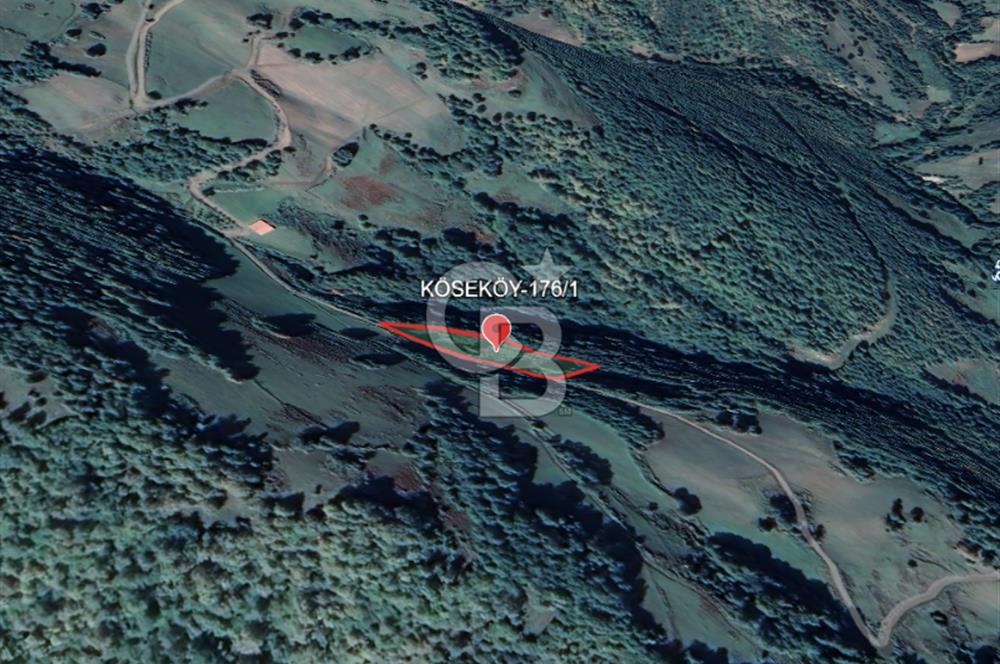 SAMSUN/ALAÇAM-KÖSEKÖY'DE*5.738 m2*MÜSTAKİL TAPULU SATILIK TARLA