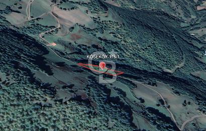 SAMSUN/ALAÇAM-KÖSEKÖY'DE*5.738 m2*MÜSTAKİL TAPULU SATILIK TARLA