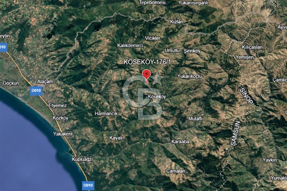 SAMSUN/ALAÇAM-KÖSEKÖY'DE*5.738 m2*MÜSTAKİL TAPULU SATILIK TARLA