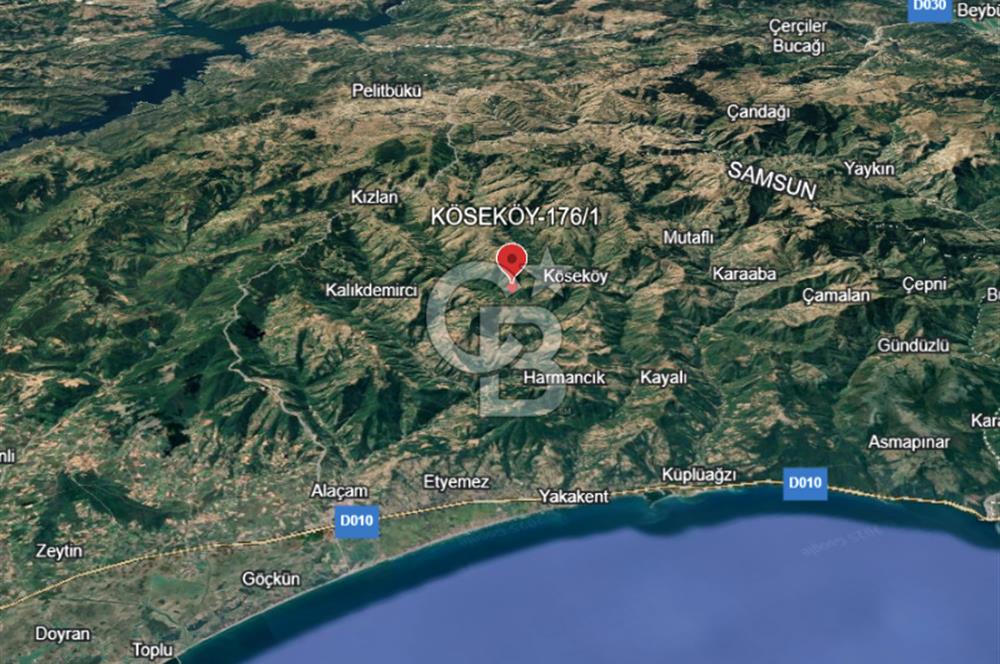 SAMSUN/ALAÇAM-KÖSEKÖY'DE*5.738 m2*MÜSTAKİL TAPULU SATILIK TARLA