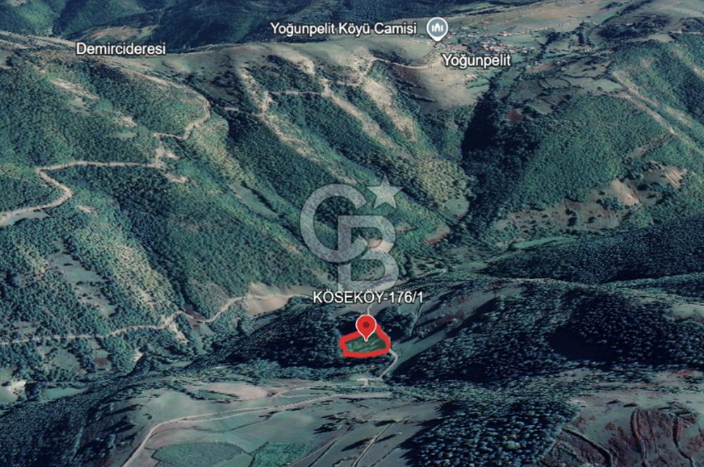 SAMSUN/ALAÇAM-KÖSEKÖY'DE*5.738 m2*MÜSTAKİL TAPULU SATILIK TARLA