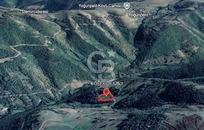 SAMSUN/ALAÇAM-KÖSEKÖY'DE*5.738 m2*MÜSTAKİL TAPULU SATILIK TARLA