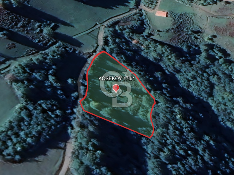 SAMSUN/ALAÇAM-KÖSEKÖY'DE*5.738 m2*MÜSTAKİL TAPULU SATILIK TARLA