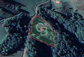 SAMSUN/ALAÇAM-KÖSEKÖY'DE*5.738 m2*MÜSTAKİL TAPULU SATILIK TARLA - 1 - 327594