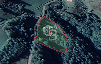 SAMSUN/ALAÇAM-KÖSEKÖY'DE*5.738 m2*MÜSTAKİL TAPULU SATILIK TARLA