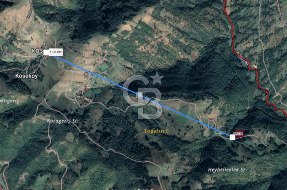 SAMSUN/ALAÇAM-KÖSEKÖY'DE*5.738 m2*MÜSTAKİL TAPULU SATILIK TARLA