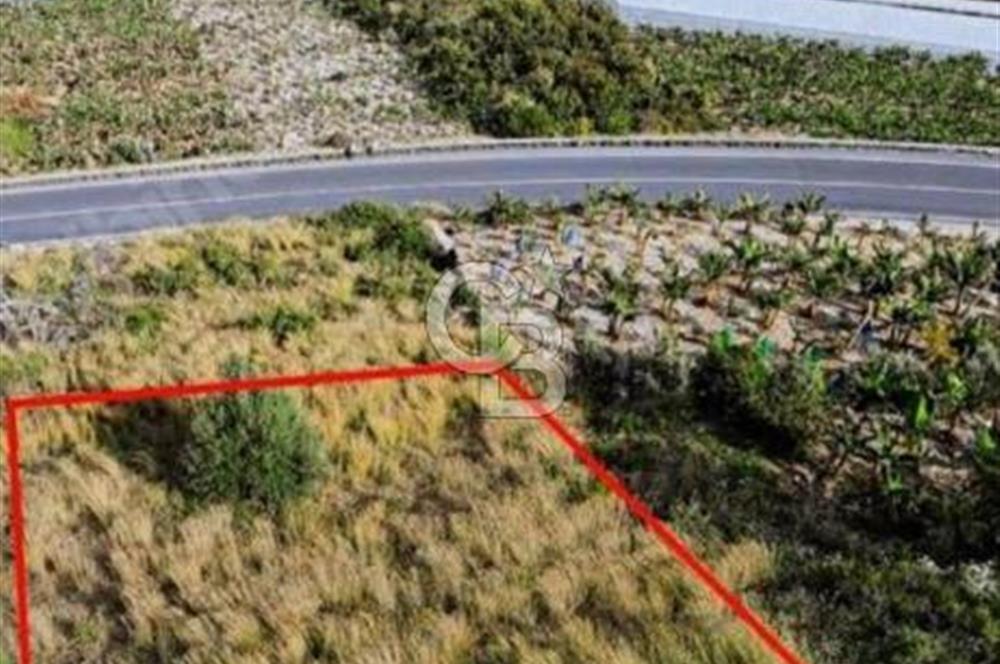 SATILIK VİLLA ARSASI