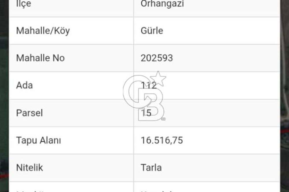 Bursa Orhangazi Gürle Kuzuluk satılık tarla