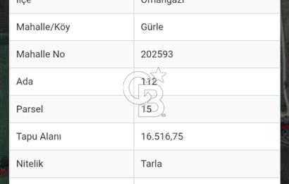 Bursa Orhangazi Gürle Kuzuluk satılık tarla