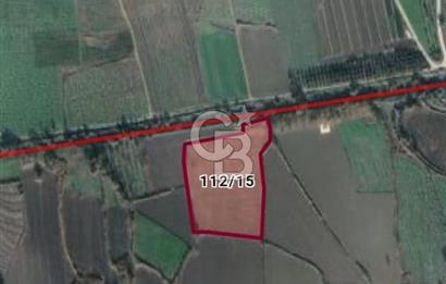 Bursa Orhangazi Gürle Kuzuluk satılık tarla