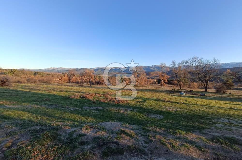 MUSELAND-ÇANAKKALE BAYRAMİÇ TONGURLU DA SATILIK İMARLI ARSA