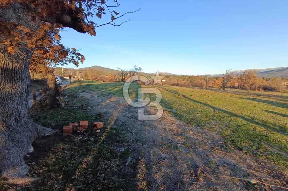 MUSELAND-ÇANAKKALE BAYRAMİÇ TONGURLU DA SATILIK İMARLI ARSA