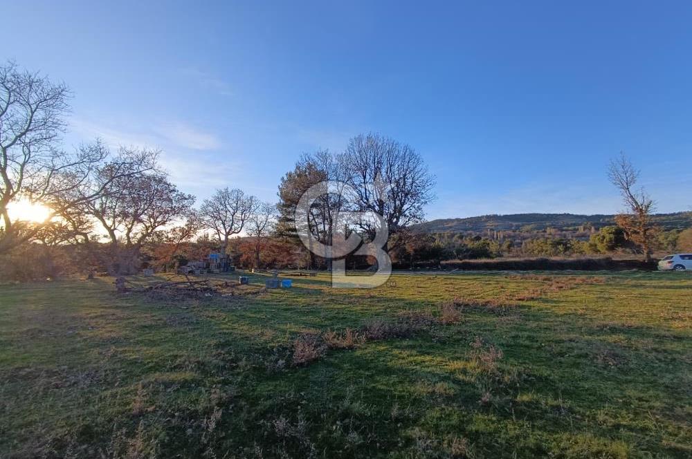 MUSELAND-ÇANAKKALE BAYRAMİÇ TONGURLU DA SATILIK İMARLI ARSA