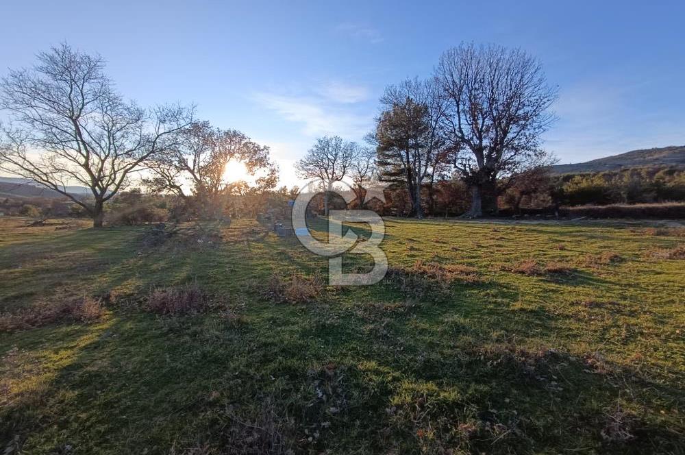 MUSELAND-ÇANAKKALE BAYRAMİÇ TONGURLU DA SATILIK İMARLI ARSA