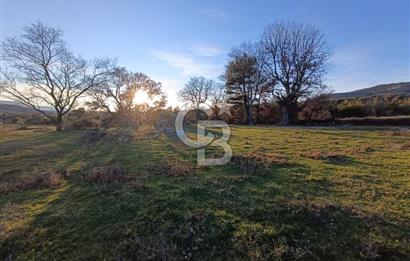 MUSELAND-ÇANAKKALE BAYRAMİÇ TONGURLU DA SATILIK İMARLI ARSA