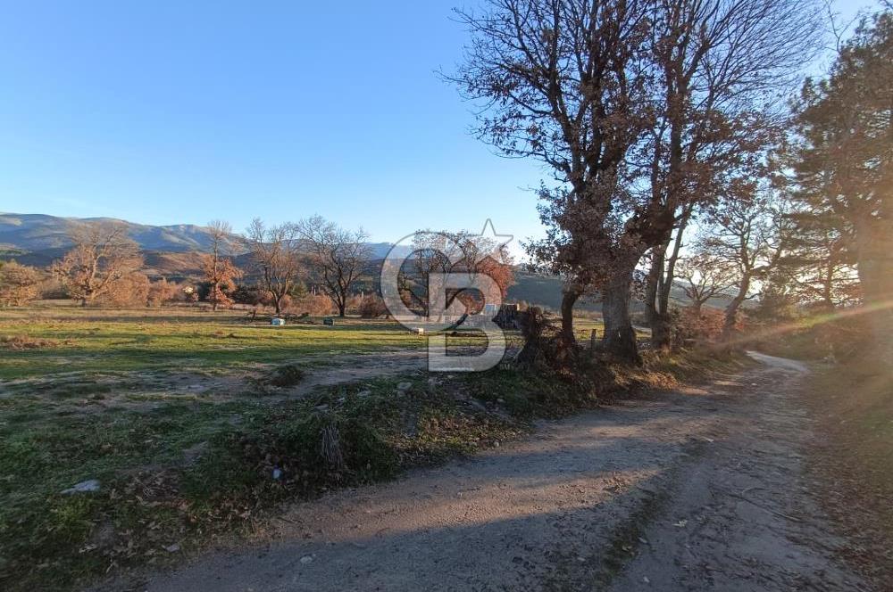MUSELAND-ÇANAKKALE BAYRAMİÇ TONGURLU DA SATILIK İMARLI ARSA