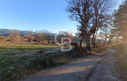MUSELAND-ÇANAKKALE BAYRAMİÇ TONGURLU DA SATILIK İMARLI ARSA