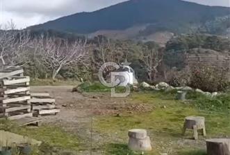 Karabağlar Kavacık Üzüm Bağı  - 2 - 327628