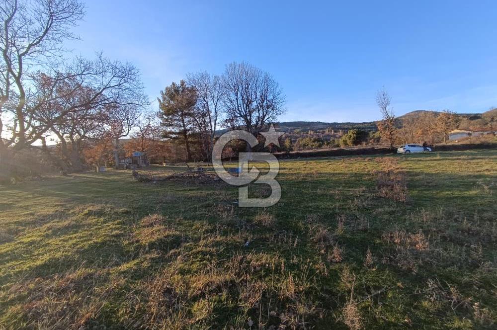 MUSELAND-ÇANAKKALE BAYRAMİÇ TONGURLU DA SATILIK İMARLI ARSA