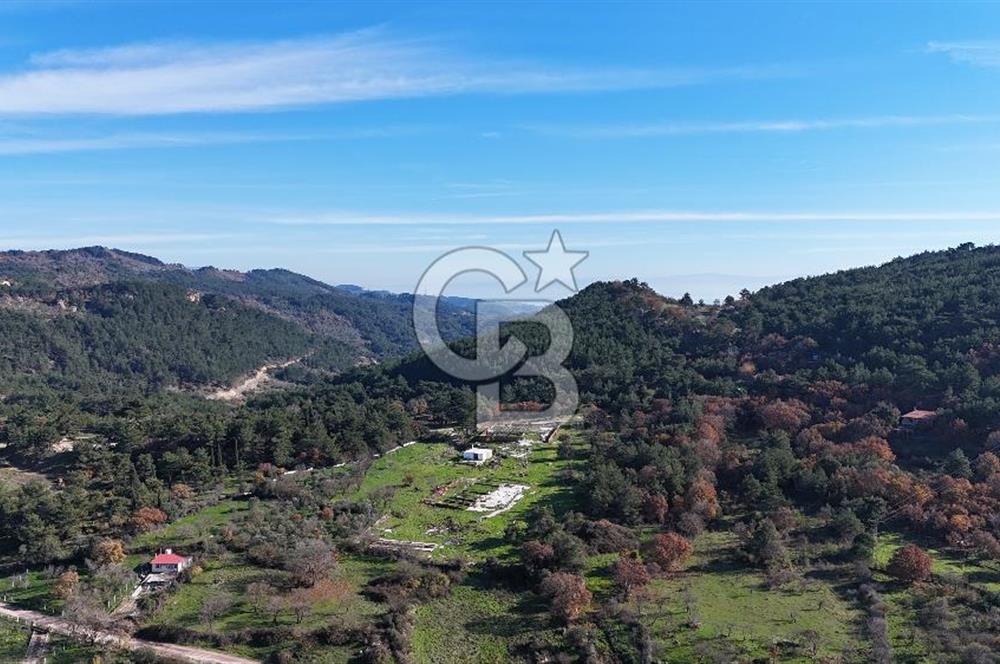 KAZDAĞLARI'NDA ÖZEL TASARIM LÜKS TAŞ EV