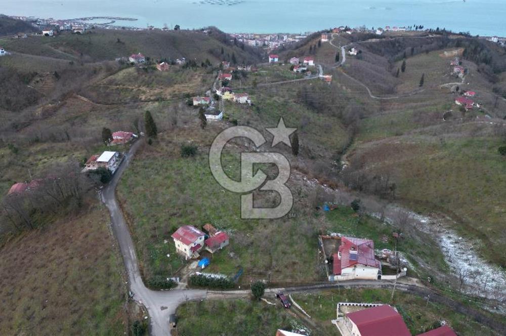 TRABZON ARSİN'DE SATILIK ARSA