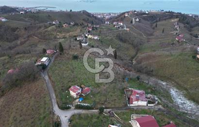 TRABZON ARSİN'DE SATILIK ARSA