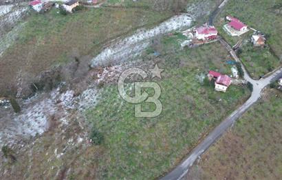 TRABZON ARSİN'DE SATILIK ARSA