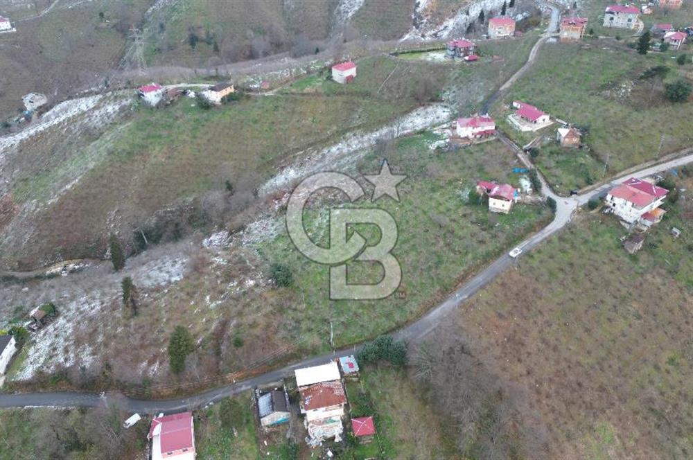 TRABZON ARSİN'DE SATILIK ARSA