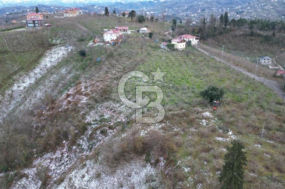 TRABZON ARSİN'DE SATILIK ARSA