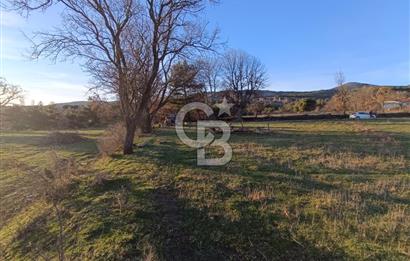 MUSELAND-ÇANAKKALE BAYRAMİÇ TONGURLU DA SATILIK İMARLI ARSA