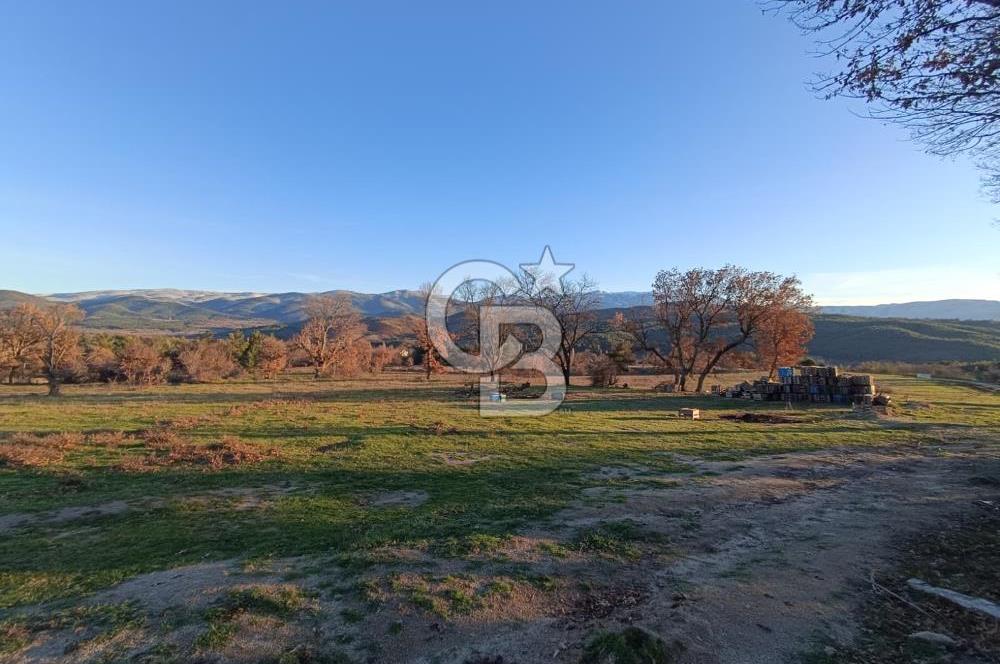MUSELAND-ÇANAKKALE BAYRAMİÇ TONGURLU DA SATILIK İMARLI ARSA