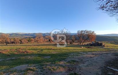 MUSELAND-ÇANAKKALE BAYRAMİÇ TONGURLU DA SATILIK İMARLI ARSA