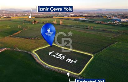 CB EAGLE'dan GÜMÜŞÇEŞME'DE 4.256 m² SATILIK TARLA