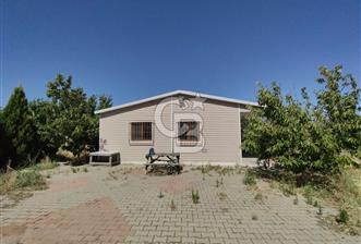 MUSELAND EVRENİN'DEN KEMALPAŞA AŞAĞI KIZILCA SATILIK BAĞ-BAHÇE - 1 - 327683