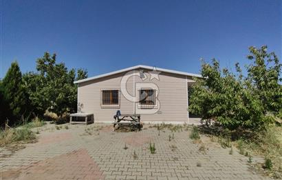 MUSELAND EVRENİN'DEN KEMALPAŞA AŞAĞI KIZILCA SATILIK BAĞ-BAHÇE