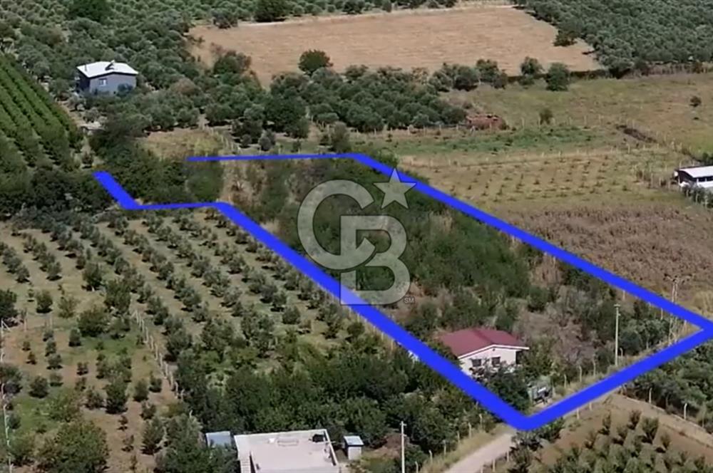 MUSELAND EVRENİN'DEN KEMALPAŞA AŞAĞI KIZILCA SATILIK BAĞ-BAHÇE