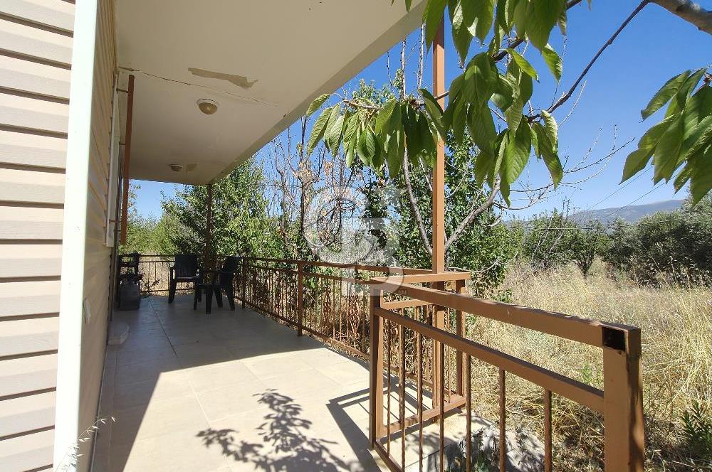 MUSELAND EVRENİN'DEN KEMALPAŞA AŞAĞI KIZILCA SATILIK BAĞ-BAHÇE